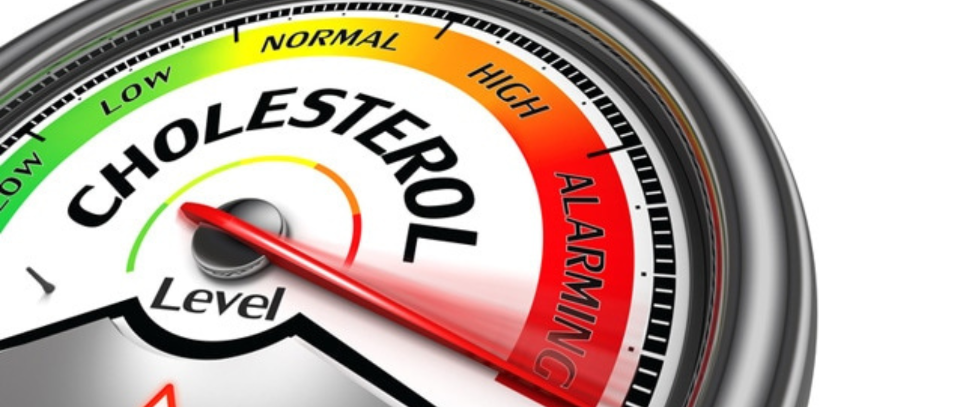 Importance of Managing Cholesterol Levels